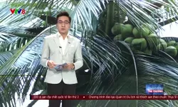 Kinh doanh Thị trường - 12/9/2024