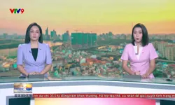 Sáng Phương Nam - 12/12/2024