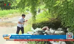Các bệnh viện tăng cường điều trị sốt xuất huyết