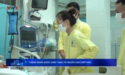 7 bệnh nhân được ghép tạng từ người cho chết não