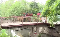 Lo ngại từ những cây cầu tạm, cầu dân sinh xuống cấp tại Hà Nội