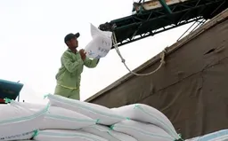152 doanh nghiệp đủ điều kiện làm thương nhân kinh doanh xuất khẩu gạo