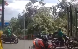 Video: Người đàn ông thoát chết khi cây đổ trúng lúc đang chạy xe