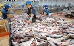 VASEP requests support for seafood exporters