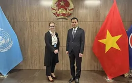Vietnam supports UN’s humanitarian aid for Palestinians: Diplomat