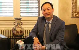 Ambassador pushes for closer ties between Vietnamese localities, Sicily region