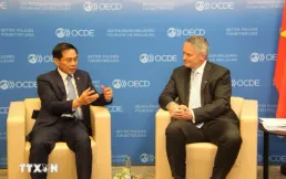 Vietnam steps up cooperation with OECD