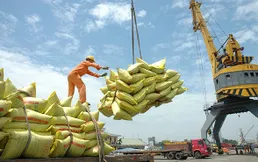 New rules require rice exporters to keep minimum reserves
