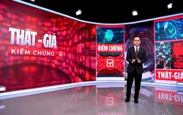 “Real - Fake, Verify”: Fighting Misinformation with Daily Fact-Checking