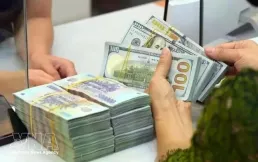 Reference exchange rate falls 4 VND on October 15