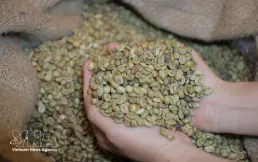 Vietnam seeks greater control over global agricultural value chains