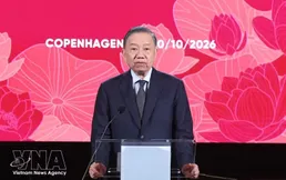 Top leader calls for stronger links between Denmark’s strengths and Vietnam’s potential