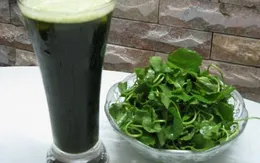 7 loại cây giải độc dễ tìm