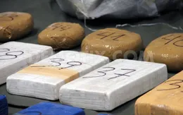 Argentina thu lượng ma túy, tiền giả lớn trước thềm Giáng sinh