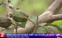 Hải Dương: Người dân "ứa nước mắt" vì khói lò gạch