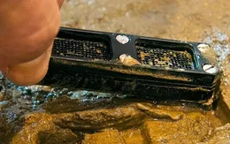 Thiết bị IChip mở ra kỷ nguyên khám phá thuốc kháng sinh mới