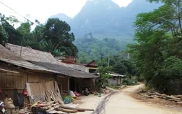 100% số huyện, thị của Thanh Hóa có người nhiễm HIV