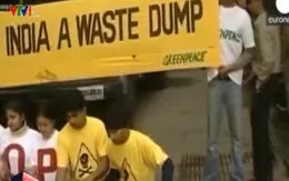 Ấn Độ thu hồi giấy phép của Tổ chức Hòa bình Xanh quốc tế