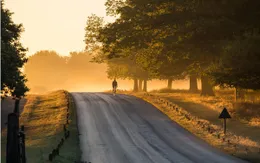 Bí quyết để có các bức ảnh đẹp mắt