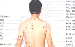 Chi hội Thập thủ đạo Hà Nội ra mắt