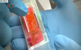 Băng cá nhân thông minh có khả năng chữa lành vết thương