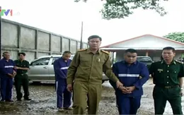 Bắt vụ tàng trữ 5,5 tấn tiền chất ma túy và cần sa