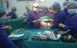 Bệnh viện Việt Đức thực hiện thành công 4 ca ghép tạng từ người chết não