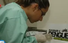 Brazil xác định loại virus ảnh hưởng tới não bộ trẻ sơ sinh