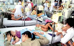 Phú Yên: Số ca mắc sốt xuất huyết tăng gấp đôi