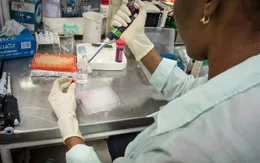 Phát hiện mới về thuốc điều trị ung thư từ vaccine sốt rét