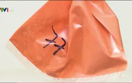 Nguy cơ tổn thương vĩnh viễn hệ thần kinh vì nhiễm độc chì từ thuốc cam