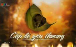 Cặp lá yêu thương: Nhân rộng vòng tay nhân ái của cộng đồng