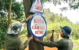 Cà Mau: Cảnh báo cháy cực kỳ nguy hiểm