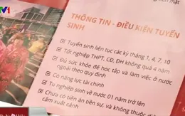 Tràn lan dịch vụ ‘chế tác’ hồ sơ du học để xuất khẩu lao động