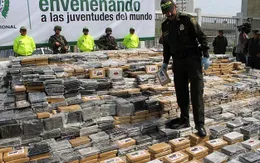 Cảnh sát Colombia - Mexico bắt giữ 2 tấn ma túy