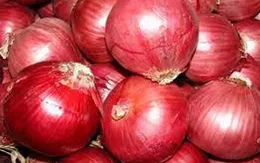 Bài thuốc điều trị cảm mạo ở trẻ em