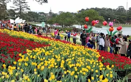 Ấn tượng năm du lịch Tây Nguyên - Đà Lạt