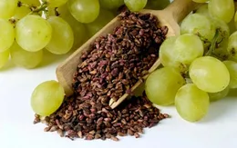 Hạt nho giúp giảm cholesterol trong máu