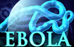 Dịch Ebola có thể được dập tắt trong năm 2015