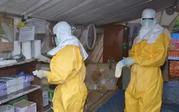 Guinea công bố hết dịch Ebola