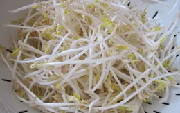 Chọn giá đỗ đúng cách để tốt cho sức khỏe