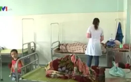 Gia Lai: Tái bùng phát bệnh sốt rét