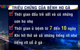 Triệu chứng của bệnh ho gà