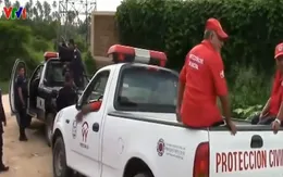 Giới chức Mexico khẩn trương truy tìm hổ xổng chuồng