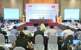 Thế giới ghi nhận hơn 200 bệnh lây truyền từ động vật sang người