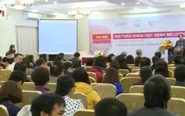 Cảnh báo bệnh nhiễm khuẩn Whitmore
