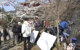 Khúc hát mặt trời: Những cảnh quay đầu tiên tại xứ sở hoa anh đào