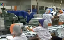 TT-Huế: Trên 50% lao động không về nước đúng thời hạn