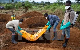 WHO xác nhận Liberia lại xuất hiện ca mắc virus Ebola mới