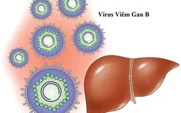 Những lưu ý phòng tránh viêm gan siêu vi B